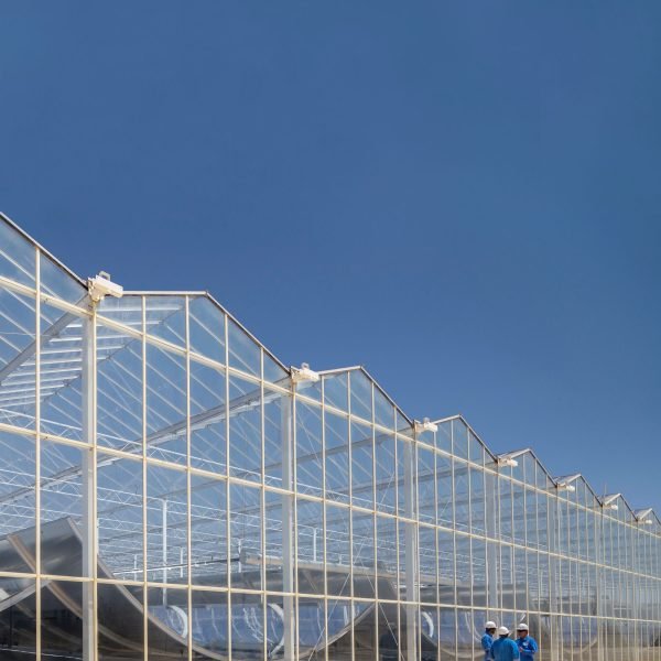 GlassPoint_PDO_2402_CC_tall