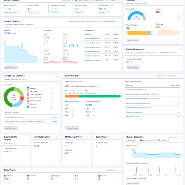Website Audit